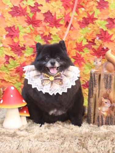 20241104れおくん